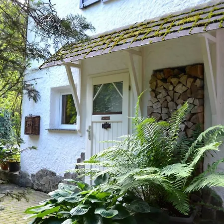 Birgits Apartment Willingen (Upland)