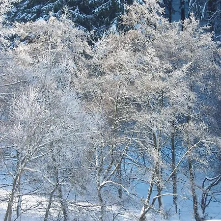 Lägenhet Birgits Landhaus Willingen *