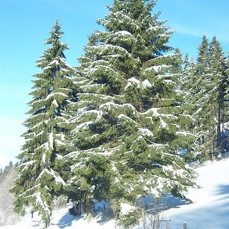 Birgits Landhaus Willingen Willingen (Upland)
