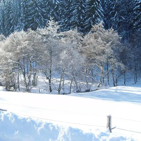 Lägenhet Birgits Landhaus Willingen *